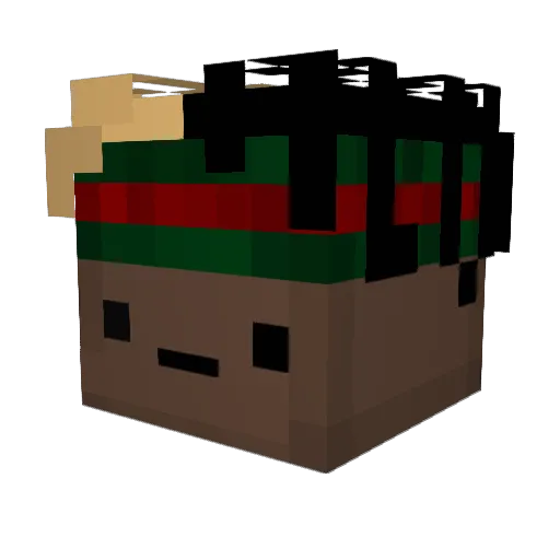 Infameee_ Minecraft avatar head, 3D render