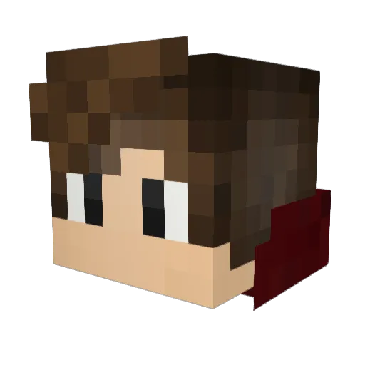 Infamous29 Minecraft avatar head, 3D render