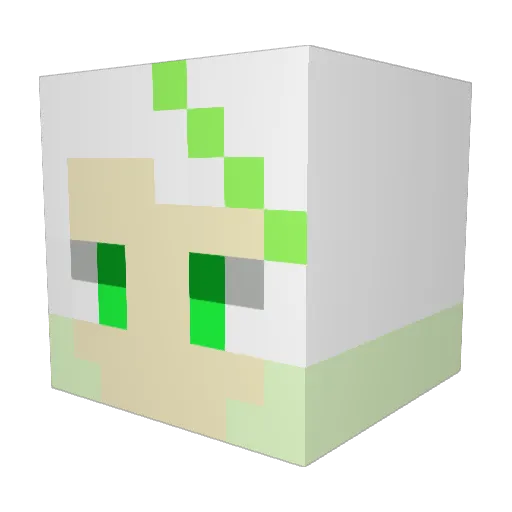 InfamousTangeRIN Minecraft avatar head, 3D render
