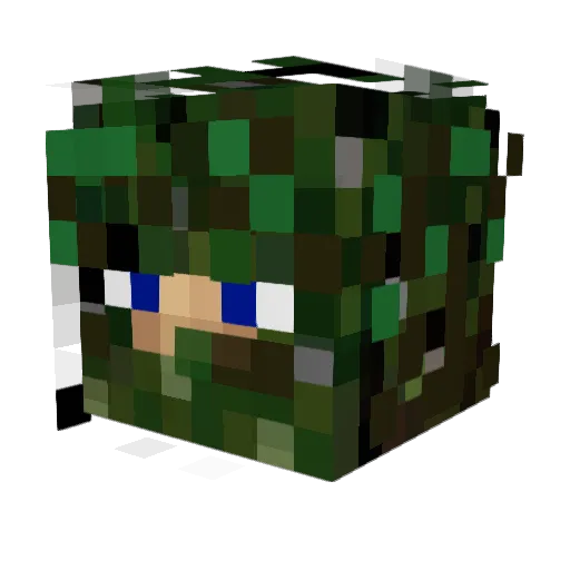 Infeci Minecraft avatar head, 3D render