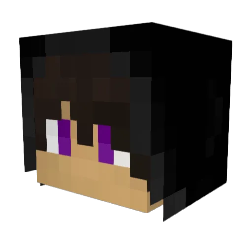 InfectedDash Minecraft avatar head, 3D render