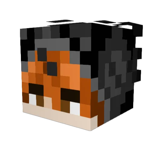 Infeisty Minecraft avatar head, 3D render