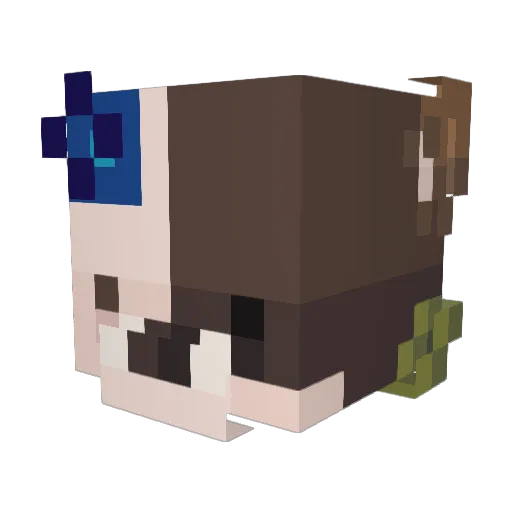 InfernFR Minecraft avatar head, 3D render