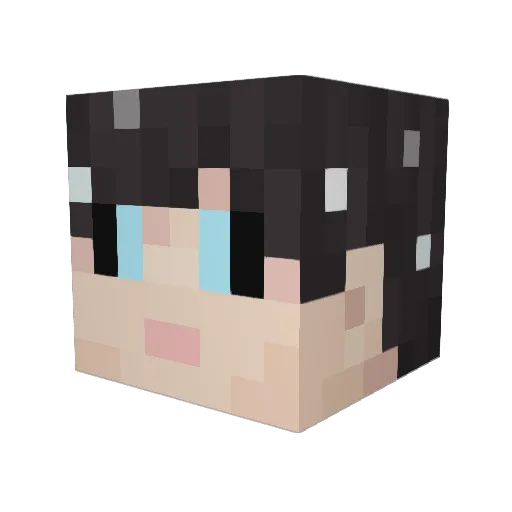 InfernaFiresword Minecraft avatar head, 3D render