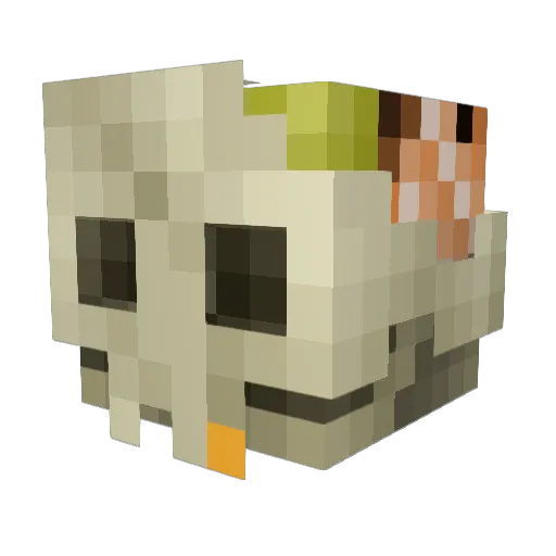 InfernalAequitas Minecraft avatar head, 3D render