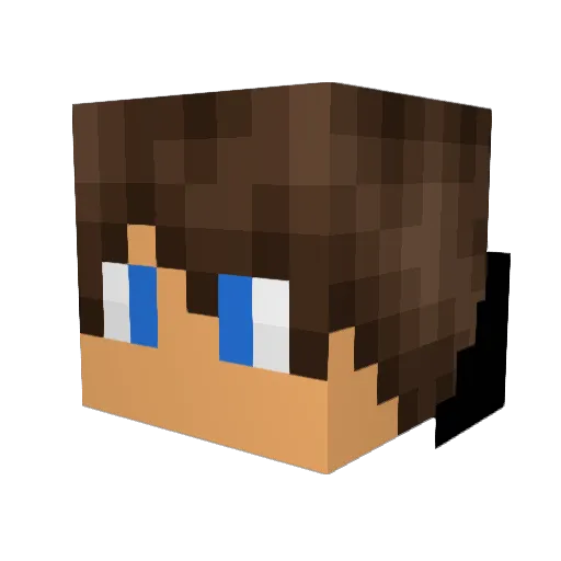 InfernalMage_ Minecraft avatar head, 3D render