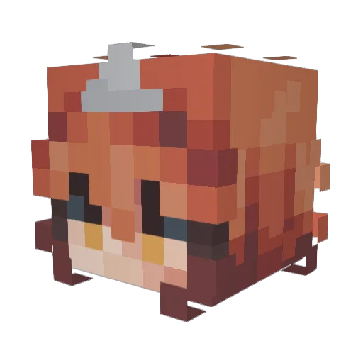 Infernia00 Minecraft avatar head, 3D render