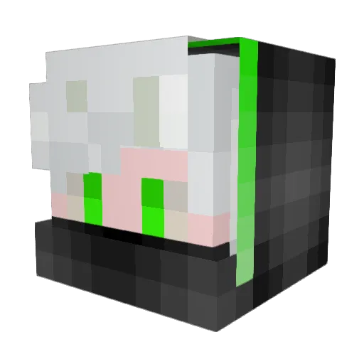 Inferno56 Minecraft avatar head, 3D render