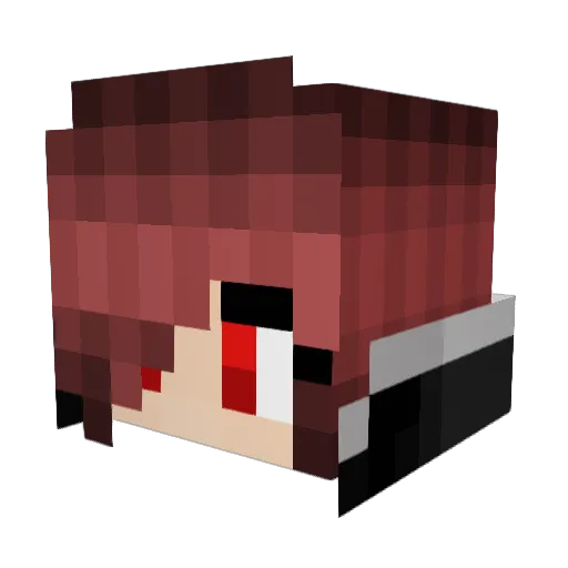 InfernoCat666 Minecraft avatar head, 3D render