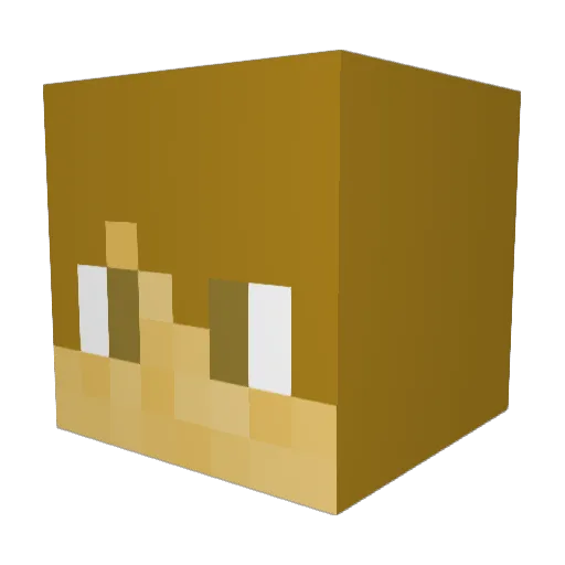InfernoGamer23 Minecraft avatar head, 3D render