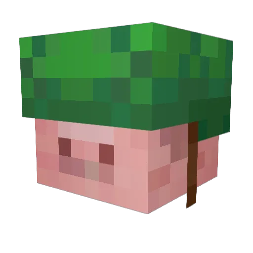 InfernoPig Minecraft avatar head, 3D render