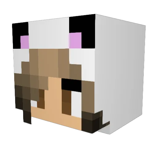 Infia_ Minecraft avatar head, 3D render