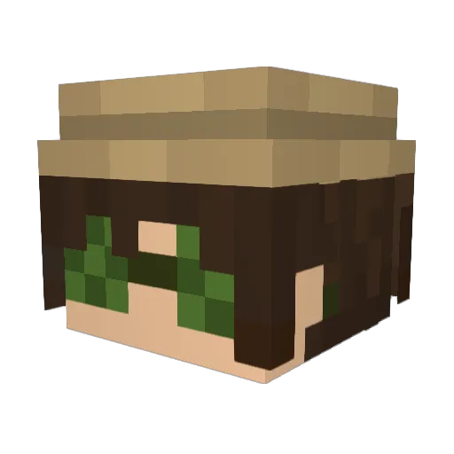 Infinibee Minecraft avatar head, 3D render