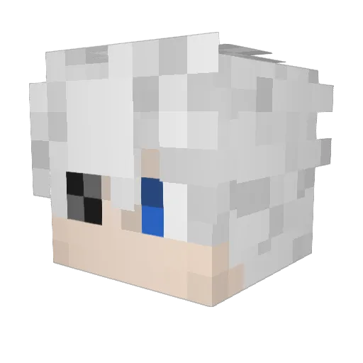 Infinit1s Minecraft avatar head, 3D render