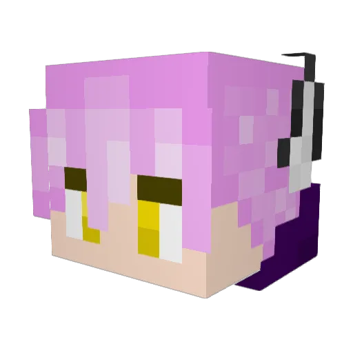 InfiniteBogoSort Minecraft avatar head, 3D render