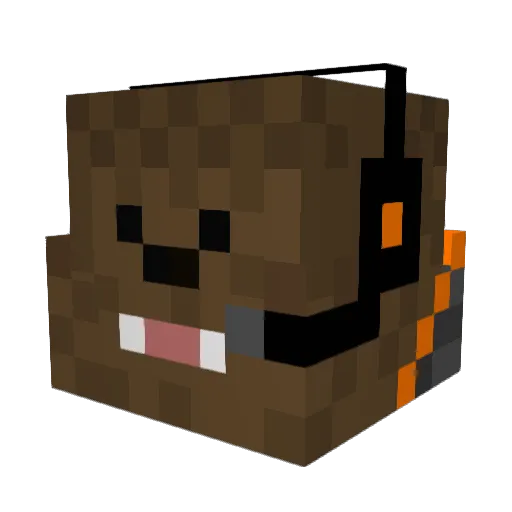 InfiniteFlamez Minecraft avatar head, 3D render