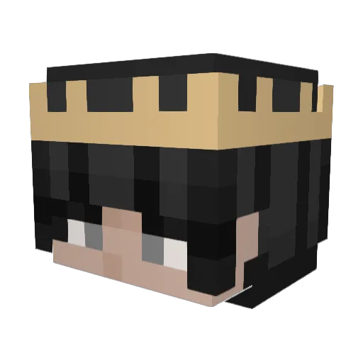 InfinitePoro Minecraft avatar head, 3D render