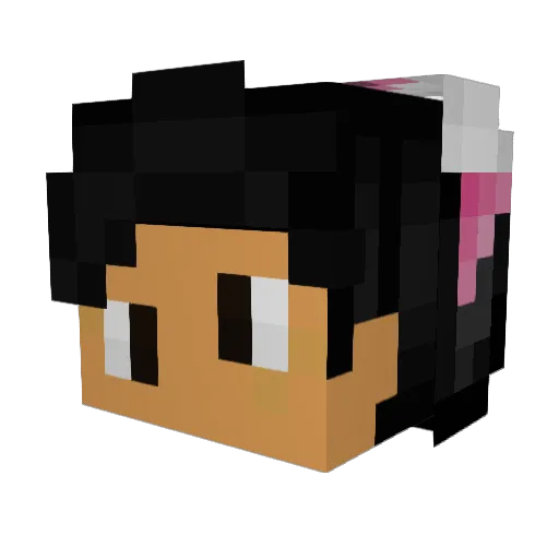 InfiniteRoses Minecraft avatar head, 3D render
