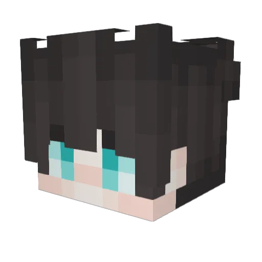 InfiniteShadow98 Minecraft avatar head, 3D render