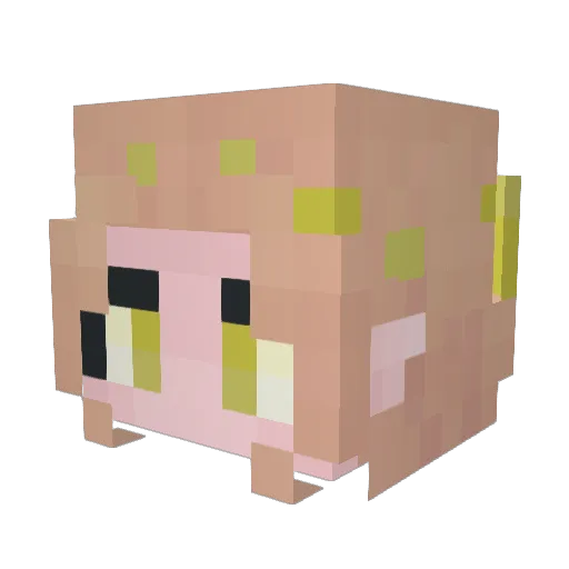 Minecraft-Avatar von InfiniteWave763: Kopf als 3D-Render