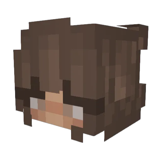 Infinite_Fire7 Minecraft avatar head, 3D render