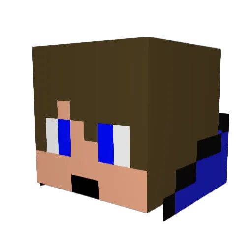 Infinity1242 Minecraft avatar head, 3D render
