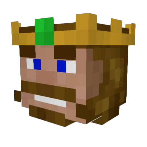 Infinity1911 Minecraft avatar head, 3D render