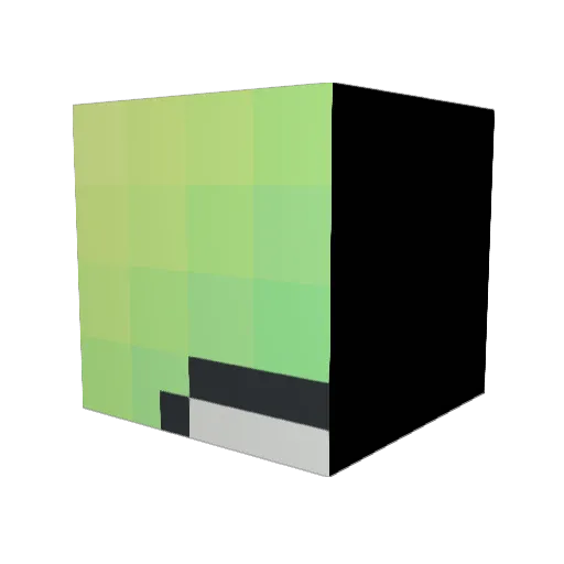 InfinityCat4 Minecraft avatar head, 3D render