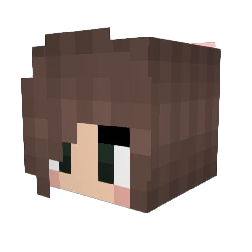 InfinityCat_717 Minecraft avatar head, 3D render