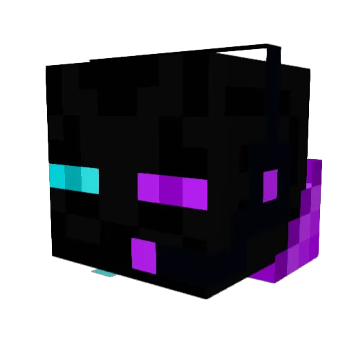 InfinityHunter47 Minecraft avatar head, 3D render