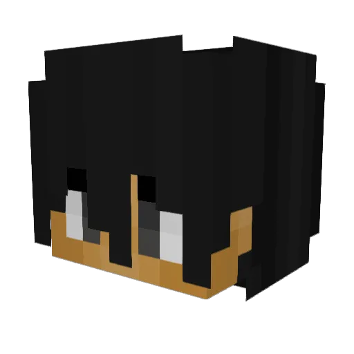 InfinityKill_ Minecraft avatar head, 3D render