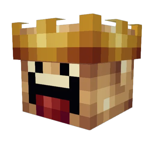 InfinityOutpost Minecraft avatar head, 3D render