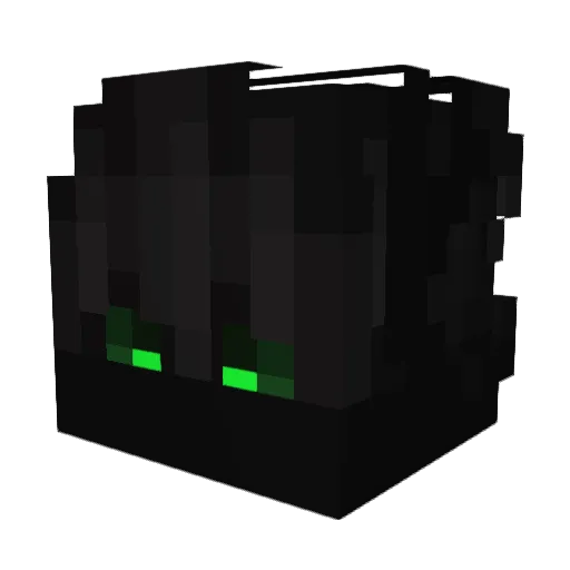 InfinityShwer Minecraft avatar head, 3D render