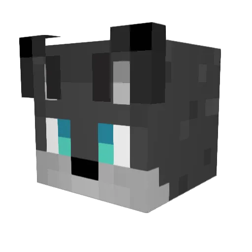 InfinityWolf3 Minecraft avatar head, 3D render