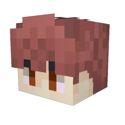 InfinityX5606 Minecraft avatar head, 3D render