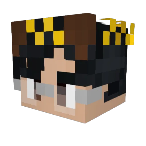 Infinity_TUB Minecraft avatar head, 3D render