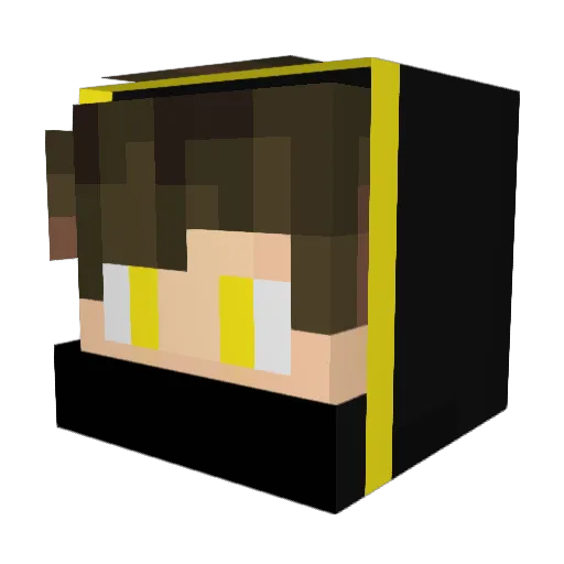 Infinitychief2 Minecraft avatar head, 3D render