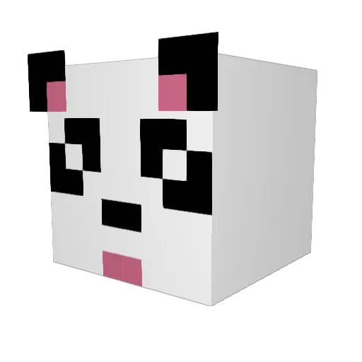 Infinityr Minecraft avatar head, 3D render