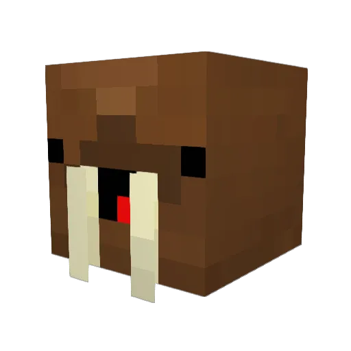 Infinitywr Minecraft avatar head, 3D render