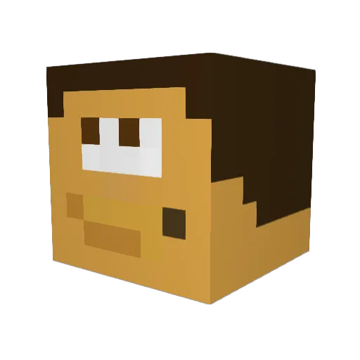 InfluenceWizard Minecraft avatar head, 3D render