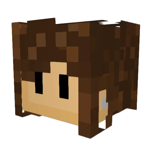 Influidity Minecraft avatar head, 3D render