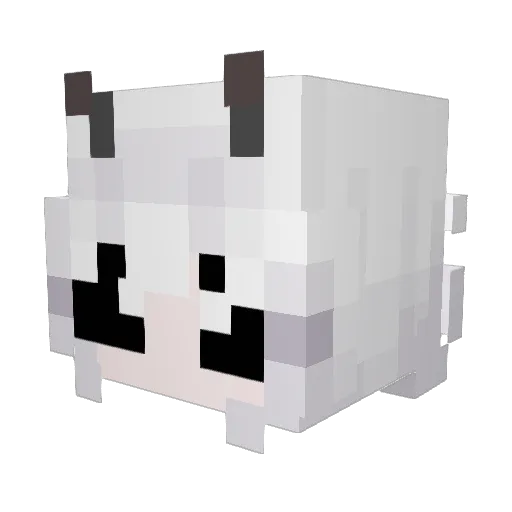 Infodox Minecraft avatar head, 3D render