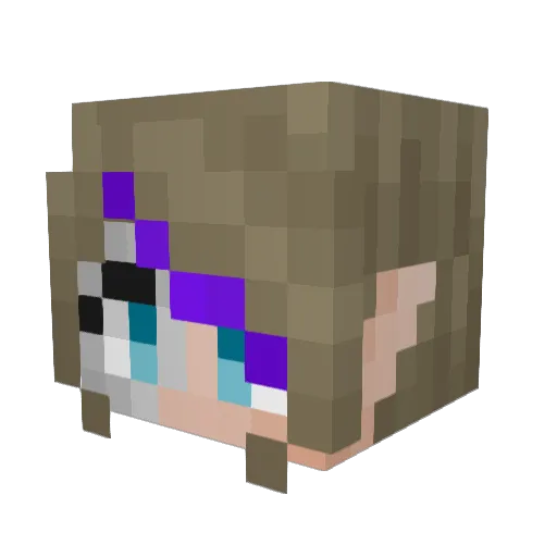 InfraNotoris Minecraft avatar head, 3D render