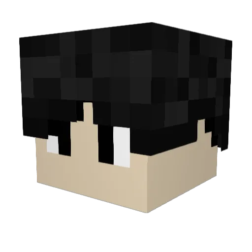 Infra_Rogue Minecraft avatar head, 3D render