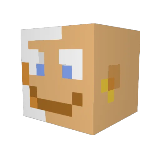 Infrangibilis Minecraft avatar head, 3D render