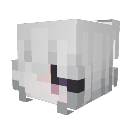 Infrxtor Minecraft avatar head, 3D render