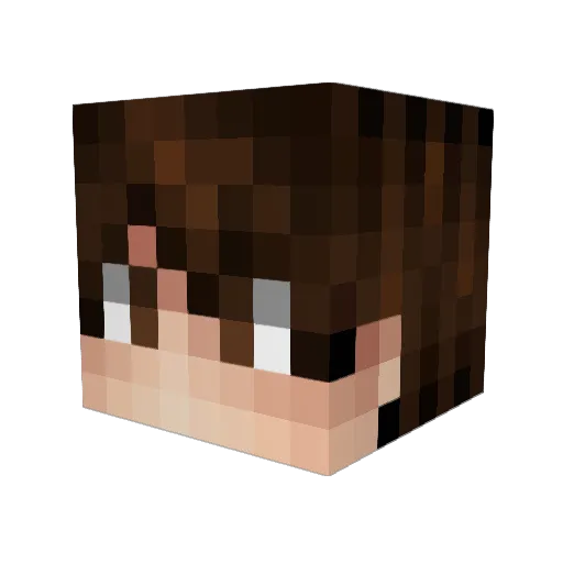 InfurnussMC Minecraft avatar head, 3D render