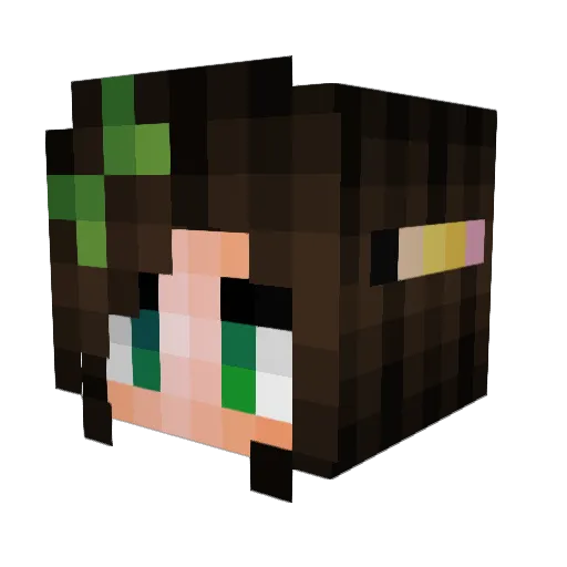 IngeSammy Minecraft avatar head, 3D render