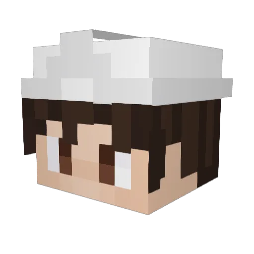 Ingeniero_sancor Minecraft avatar head, 3D render