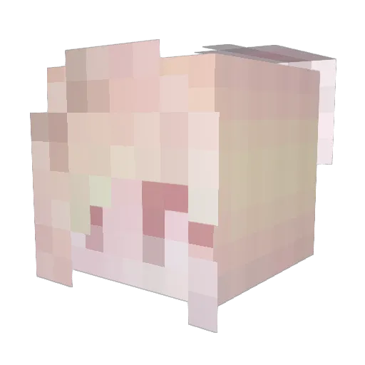 Ingkko429 Minecraft avatar head, 3D render
